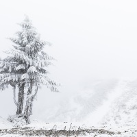 Mont Aigoual: vent, neige et givre