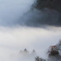Brouillard - Chablais