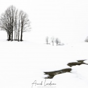 Paysage hivernal dans le Jura