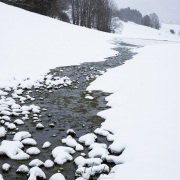 Paysage hivernal dans le Jura