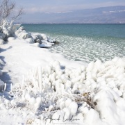 Froid polaire et bise  sur le lac de Neuchâtel