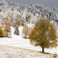 Rencontre de l'automne et de l'hiver