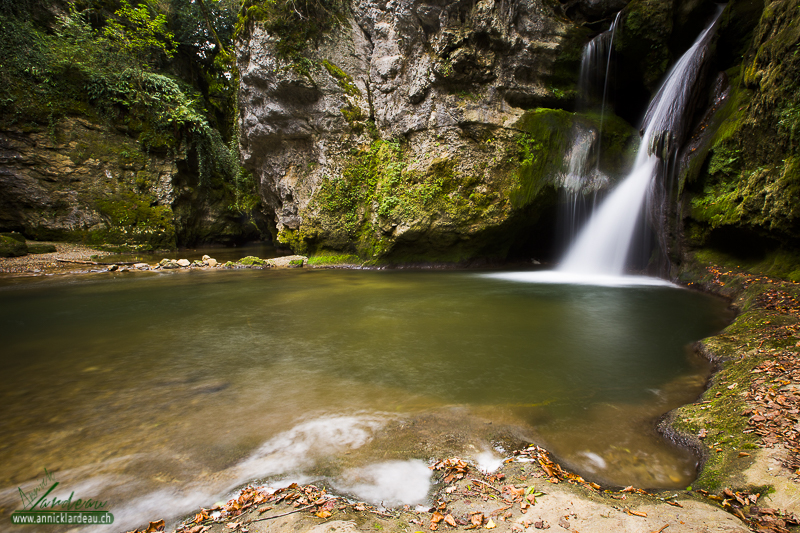 Tine de Conflens