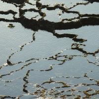 Terrasses à marée basse