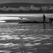 Scène de vie sur la plage de Paternoster