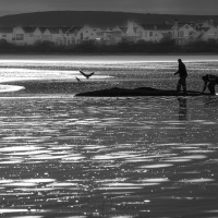 Scène de vie sur la plage de Paternoster