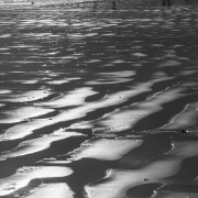 Scène de vie sur la plage de Paternoster