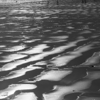 Scène de vie sur la plage de Paternoster