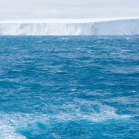 Drigalsky fjord - Georgie du Sud