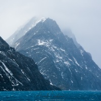 Drigalsky fjord - Georgie du Sud