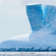 Iceberg