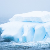 Iceberg