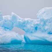 Iceberg