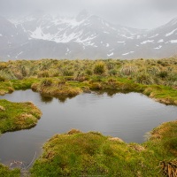 Paysage de Georgie du Sud