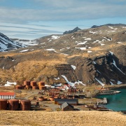 Geogie du Sud: Grytviken