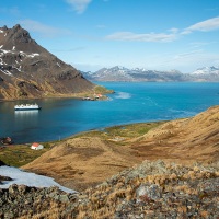 Georgie du Sud:  Baie de Grytviken