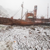 Station baleinière de Grytviken Grytviken