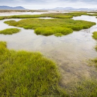 Paysage, Gilmimil - Tchoukotka