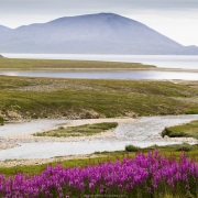 Paysage, Gilmimil - Tchoukotka
