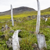 Allée des Baleines, Yttigran - Tchoukotka