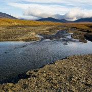Paysage, ile de Wrangel