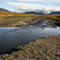 Paysage, ile de Wrangel