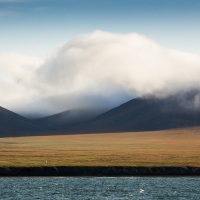 Paysage, ile de Wrangel