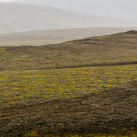 Paysage de toundra, ile de Wrangel,