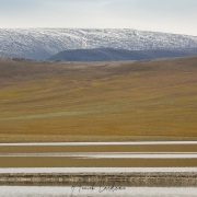 Paysage, ile de Wrangel
