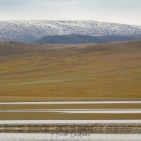 Paysage, ile de Wrangel