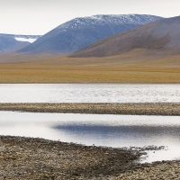 Paysage, ile de Wrangel