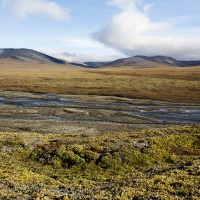 Paysage de toundra, ile de Wrangel