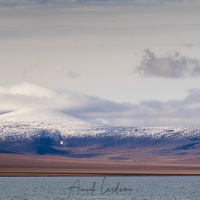 Paysage, ile de Wrangel