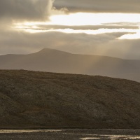 Paysage, ile de Wrangel
