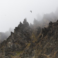 Falaises, ile d'Hérald