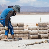 Salar d'Uyuni: Travailleur du sel