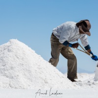 Salar d'Uyuni: Travailleur du sel