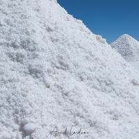 Salar d'Uyuni: Travailleur du sel