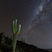 Salar d'Uyuni: Cactus candélabres sur l'ile du Poisson et voie lactée