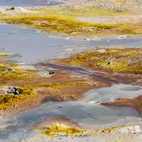 Geyser "Sol de manana"