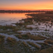Coucher de soleil sur le delta de l'Okavango