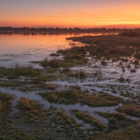 Coucher de soleil sur le delta de l'Okavango