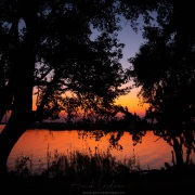 Coucher de soleil sur la rivière Chobe