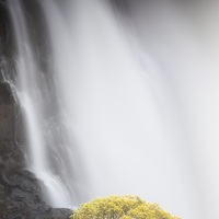 Zimbabwe: chutes Victoria