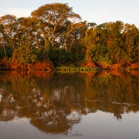 Fin de journée sur la rivière Cuiaba