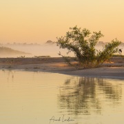 Brume matinale sur le rio Paraguay