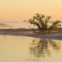 Brume matinale sur le rio Paraguay