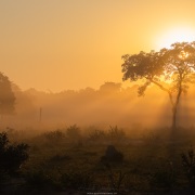 Matin brumeux