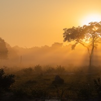 Matin brumeux