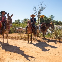 Pantaneros